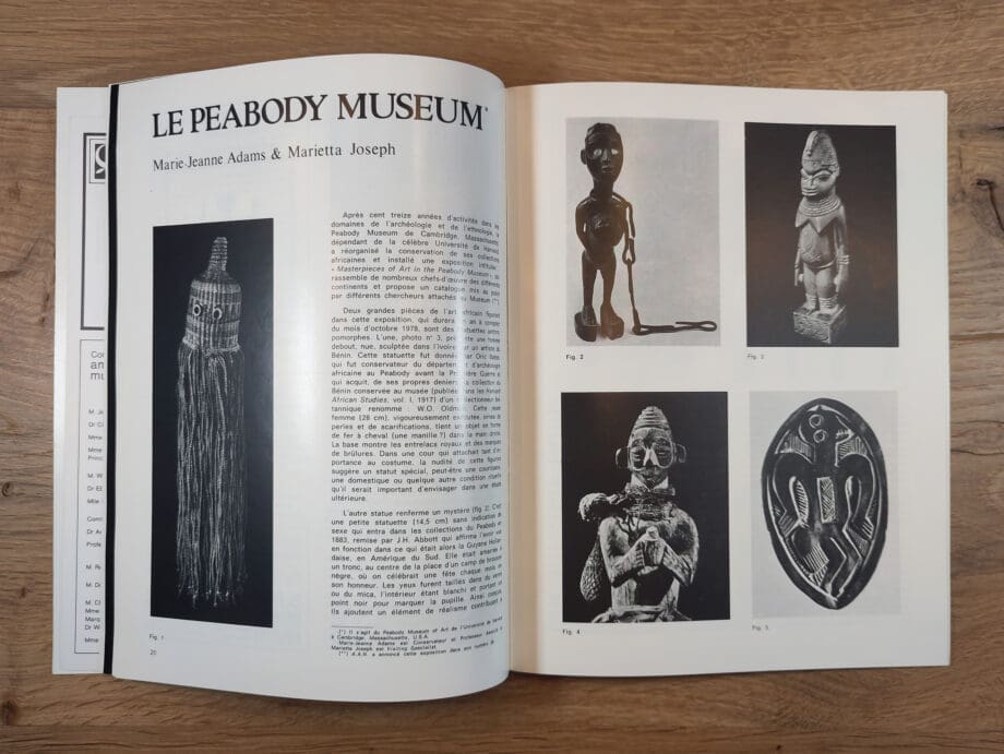 Arts d'Afrique Noire - number 30 - 1979 - Vergulde Kat