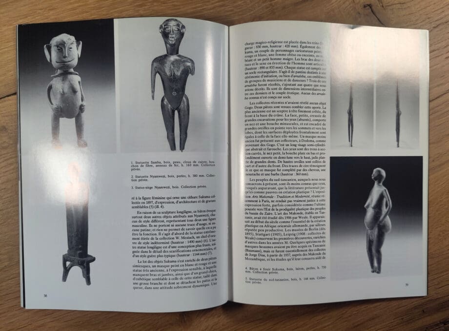 Arts d'Afrique Noire - issue 75 - 1990 - Vergulde Kat