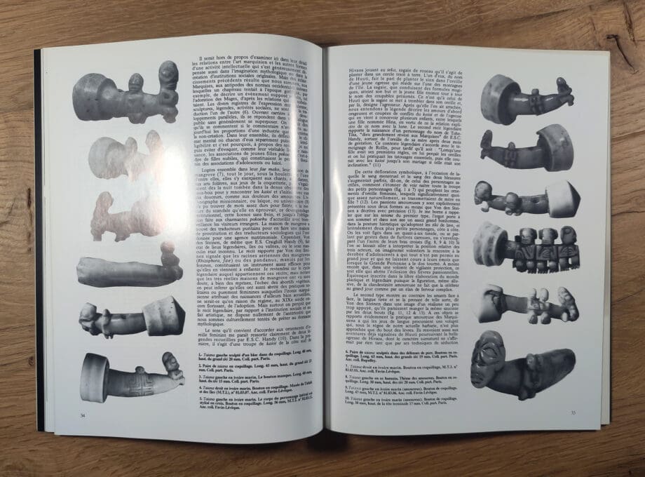 Arts d'Afrique Noire - issue 76 - 1990 - Vergulde Kat
