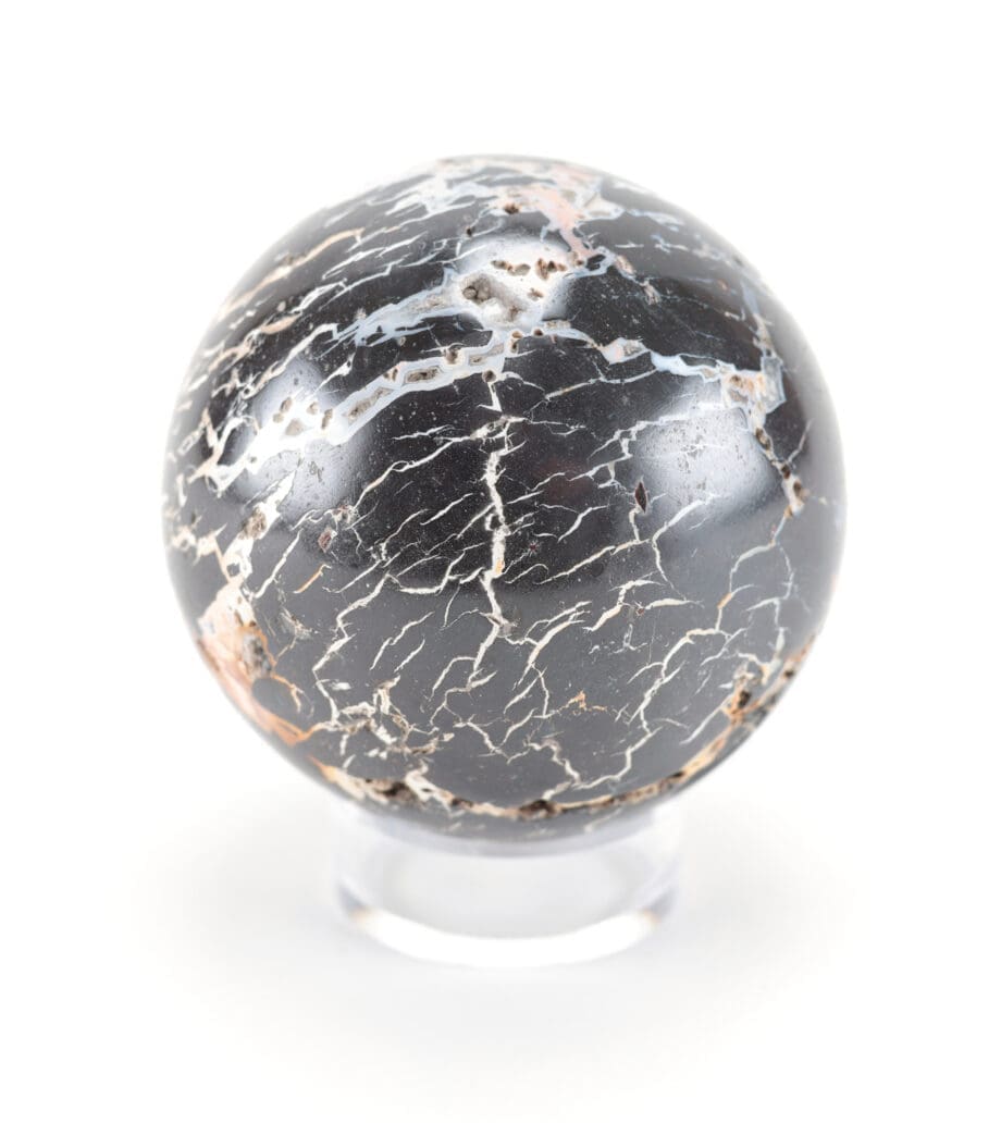Septarie bol – 8,5 cm – Wunderkammer mineraal – Vergulde Kat