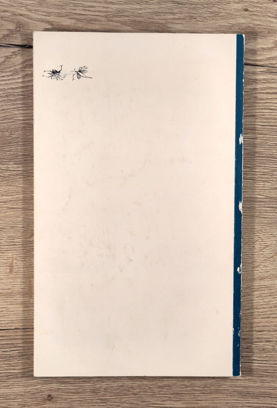 Porcelana de lujo – C.J.A. Jörg – firmada por el Sr. K.R. Dijkhuizen – Vergulde Kat