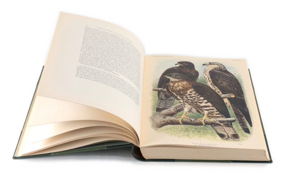De vogels van Nederland – E.D. van Oort – 5 delen – 1922–1939 – 407 kleurenplaten – Vergulde Kat