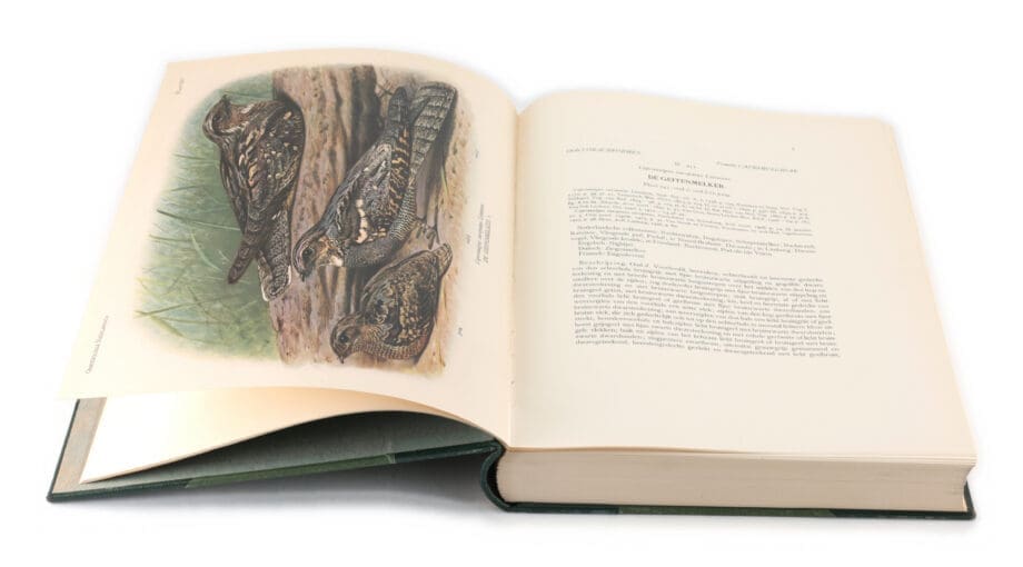 De vogels van Nederland – E.D. van Oort – 5 delen – 1922–1939 – 407 kleurenplaten – Vergulde Kat