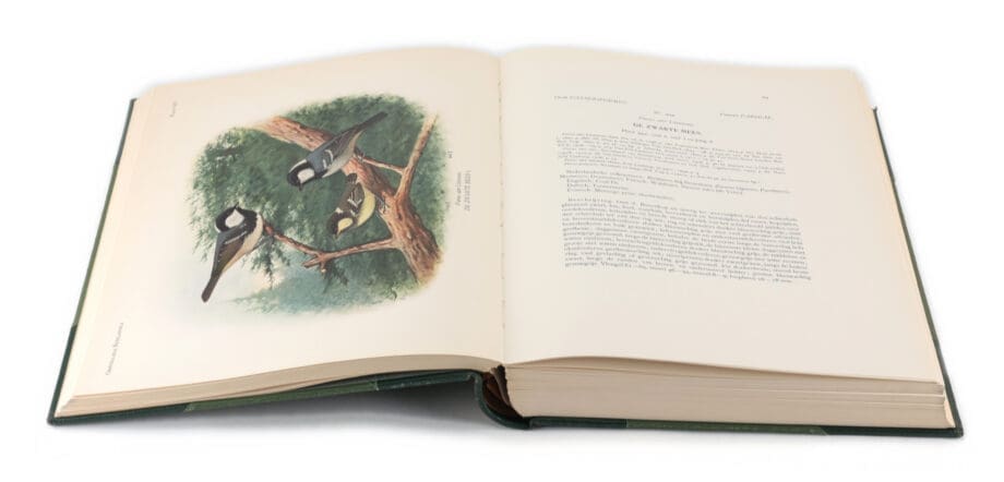 De vogels van Nederland – E.D. van Oort – 5 delen – 1922–1939 – 407 kleurenplaten – Vergulde Kat